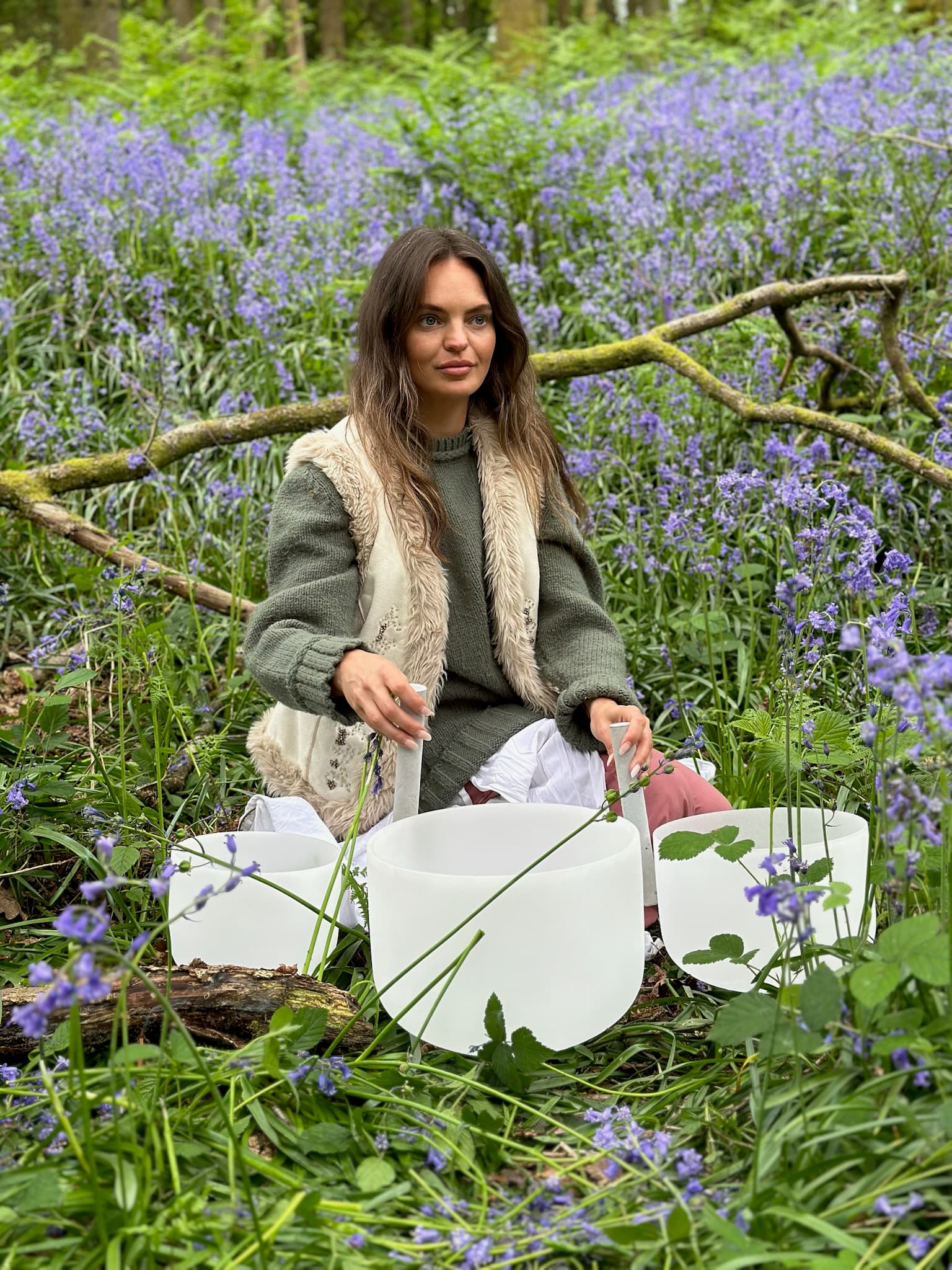 Bracken with crystal bowls among the bluebells